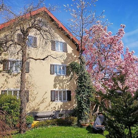 70Qm 3-Zimmer Apartment Am Tauernradweg In Hallein Bei Salzburg, Nahe Berchtesgaden, Rossfeld, Kehlsteinhaus, Obersalzberg, Watzmann, Schoenau Am Koenigsee, Bad Vigaun, Schloss Hellbrunn, Burg Hohen Salzburg, Burg Hohen Werfen # Beherbergungsbetrieb מראה חיצוני תמונה