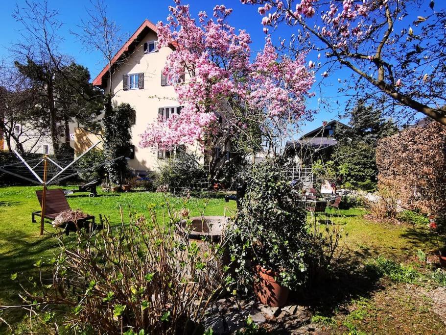 70Qm 3-Zimmer Apartment Am Tauernradweg In Hallein Bei Salzburg, Nahe Berchtesgaden, Rossfeld, Kehlsteinhaus, Obersalzberg, Watzmann, Schoenau Am Koenigsee, Bad Vigaun, Schloss Hellbrunn, Burg Hohen Salzburg, Burg Hohen Werfen # Beherbergungsbetrieb מראה חיצוני תמונה