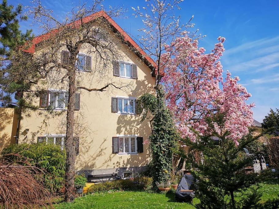 70Qm 3-Zimmer Apartment Am Tauernradweg In Hallein Bei Salzburg, Nahe Berchtesgaden, Rossfeld, Kehlsteinhaus, Obersalzberg, Watzmann, Schoenau Am Koenigsee, Bad Vigaun, Schloss Hellbrunn, Burg Hohen Salzburg, Burg Hohen Werfen # Beherbergungsbetrieb מראה חיצוני תמונה
